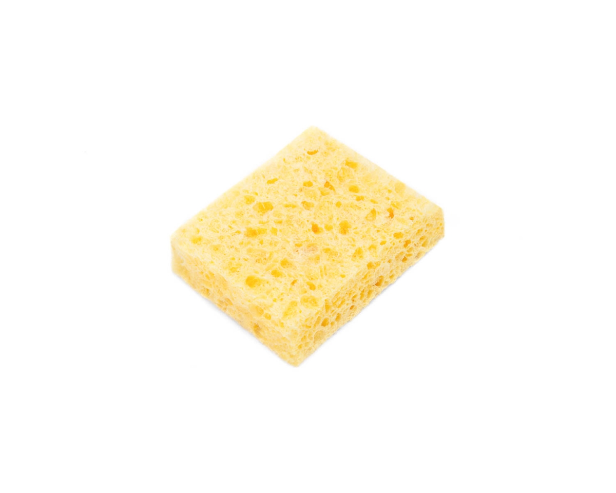 Sponge 