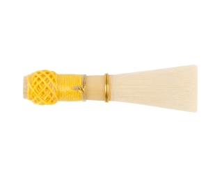 Reed TCHANKAYA 