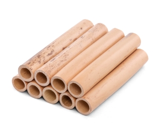 Tube Cane GÜNER 