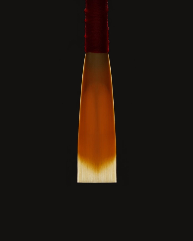 Template #RYRO 
