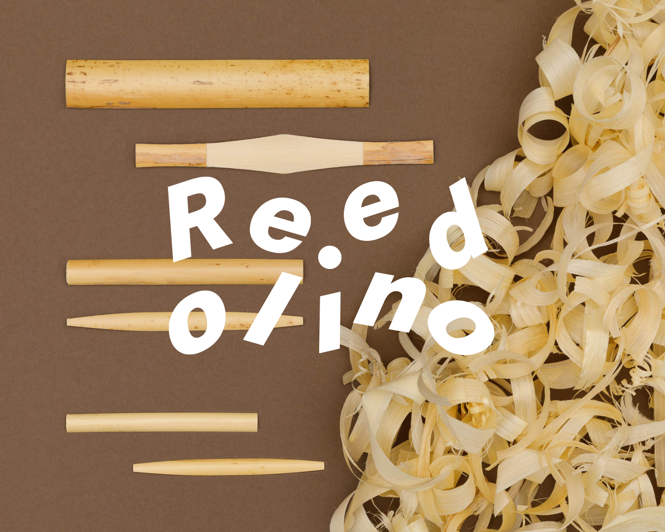 Reedolino – der Ort zum Lernen