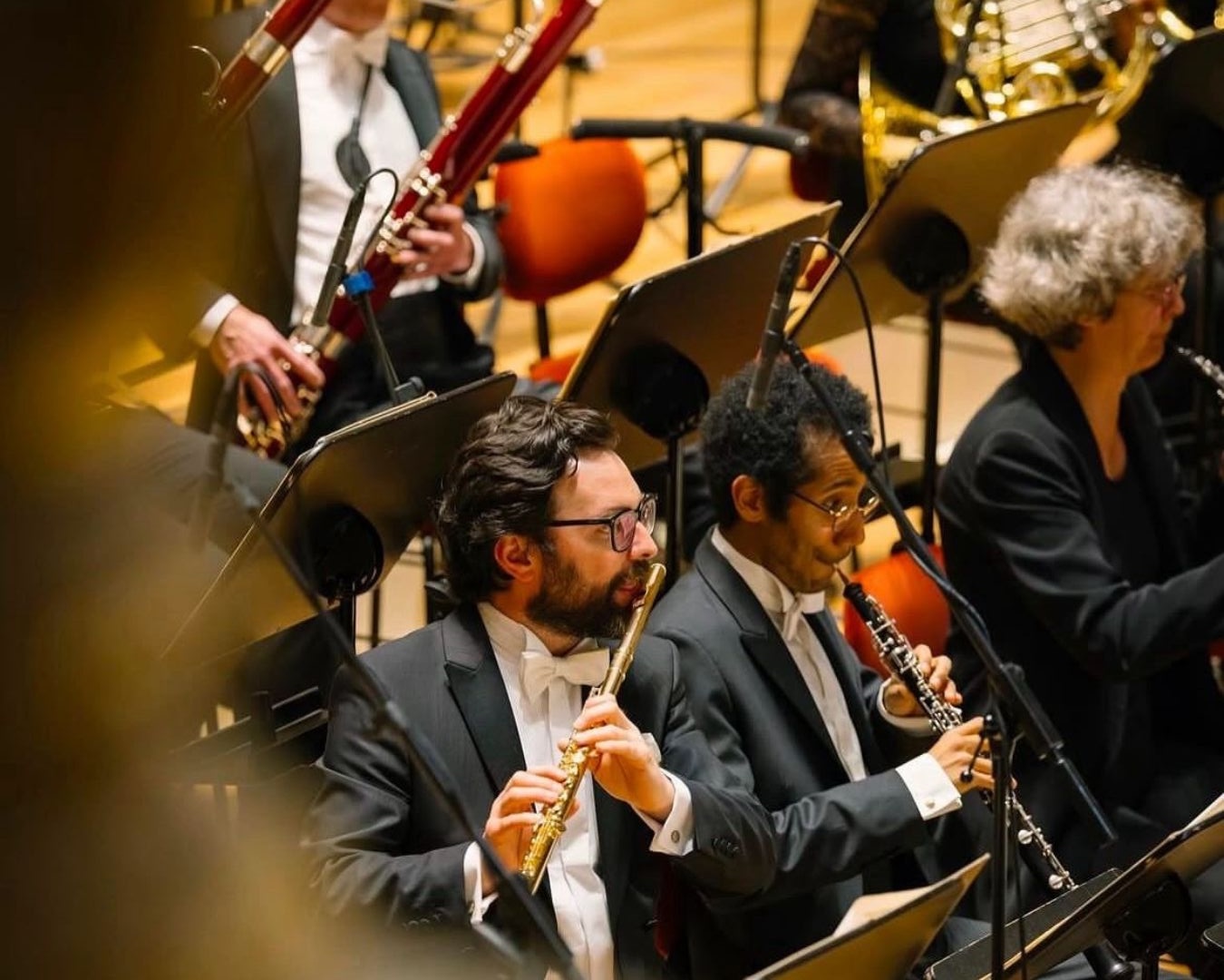 Armand Djikoloum in Staatskapelle Dresden